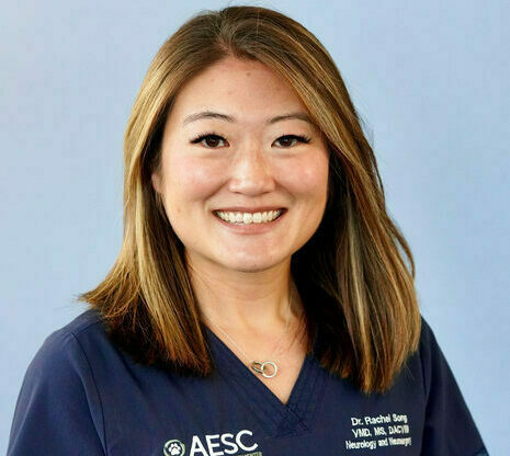 Rachel Song, VMD, MS, DACVIM (Neurology)
