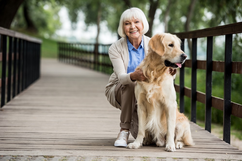 Veterinary Sports Medicine &#038; Rehabilitation Can Offer Hope for Pets With Chronic Arthritis