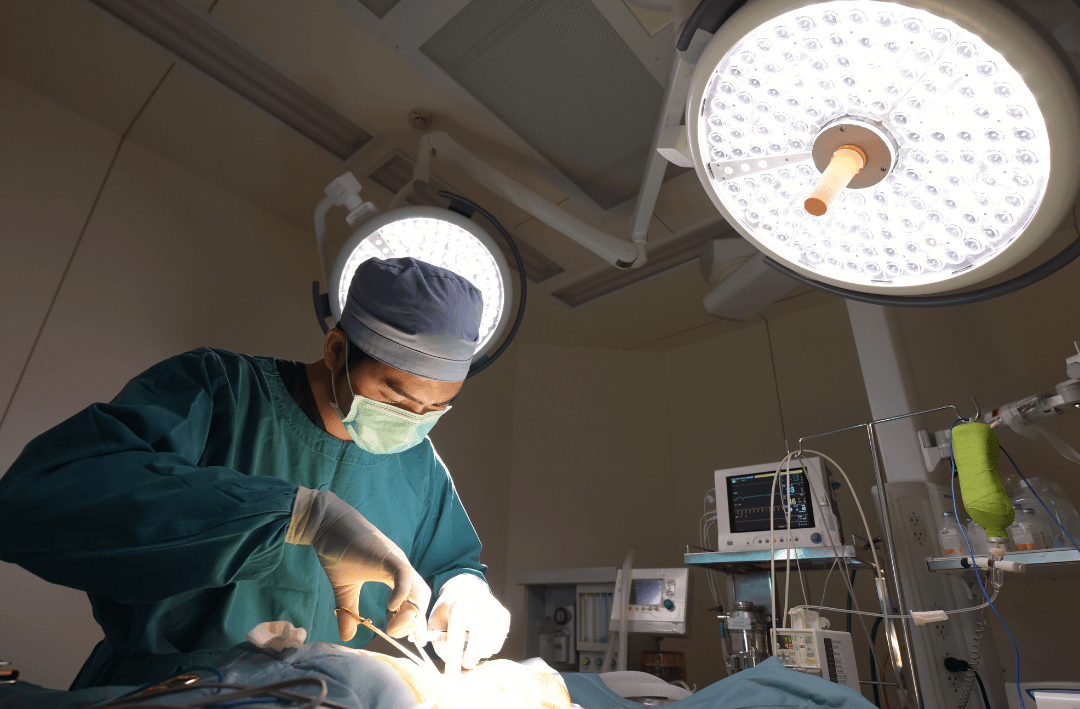 a veterinary surgeon performing surgery on an animal.